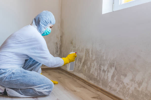 Crawl Space Mold Remediation treatment of floor joists in Watchung