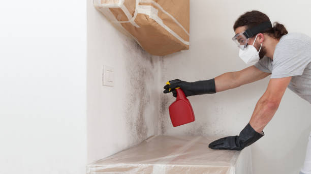 Attic Mold Remediation treatment on roof deck in Watchung