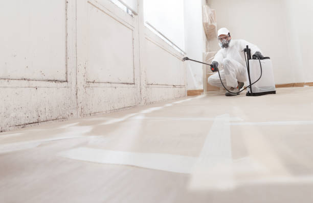 Black mold remediation team in Watchung